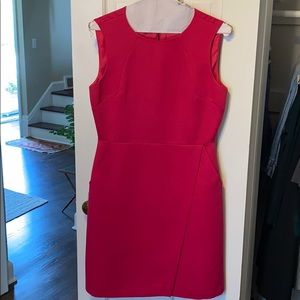 Raspberry Dress